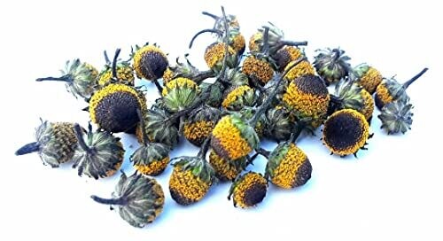Dried &quot;Peek A Boo&quot; Buzz Button Flowers (Spilanthes).