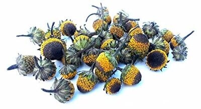 Dried &quot;Peek A Boo&quot; Buzz Button Flowers (Spilanthes).