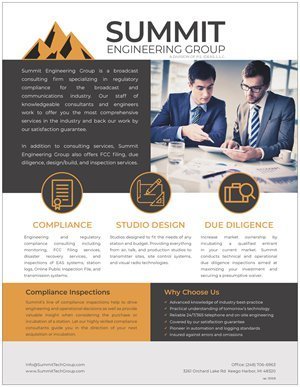 Summit Engineering Group Consulting Flyers (Qty. 500) Summit Engineering Group Consulting Flyers (Qty. 500)