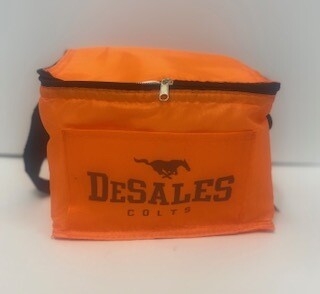 Cooler Bag-880