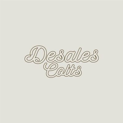 Ladies L/S V-Neck-913