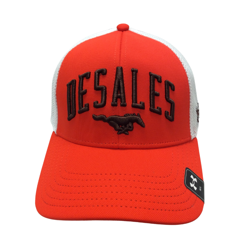 UA Blitz Stretch Cap-1022