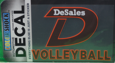 "D" Volleyball Decal -616
