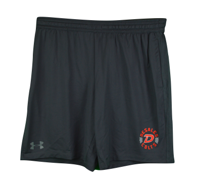 UA Raid Solid Short