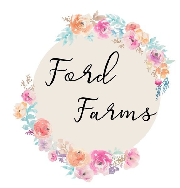 Ford Family Farm Experience