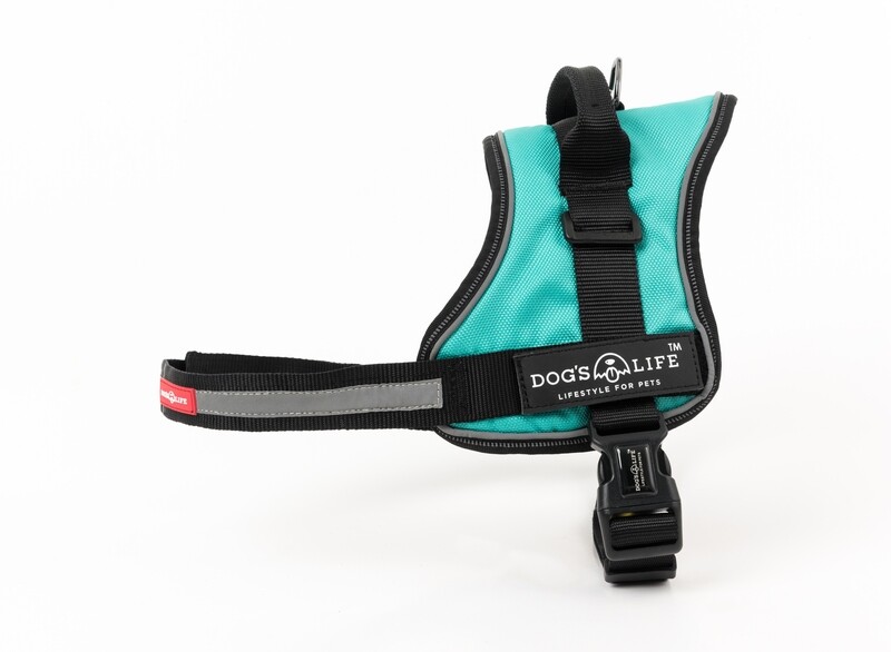 Active No Pull Control Handle Harness Turquoise