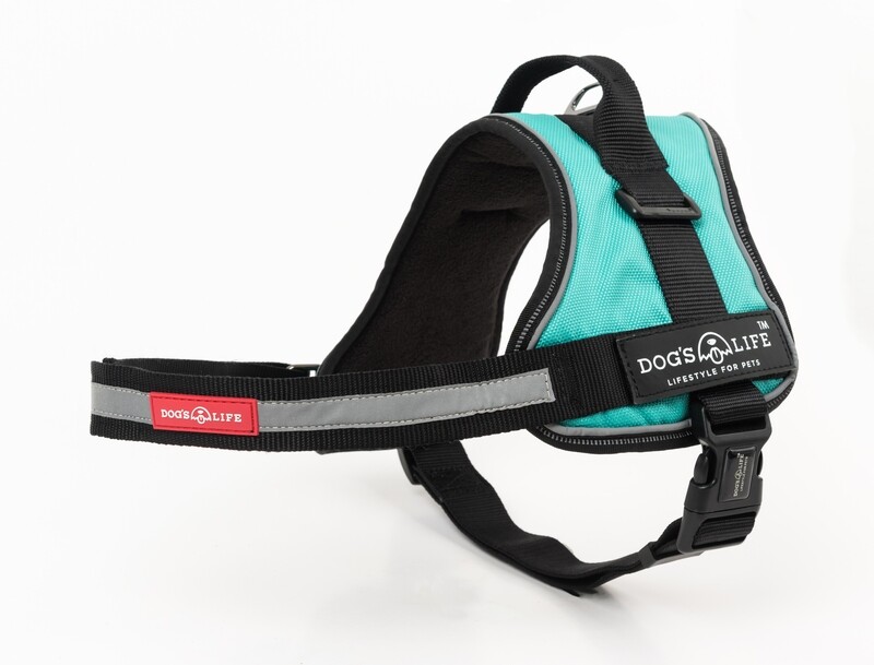 Active No Pull Control Handle Harness Turquoise