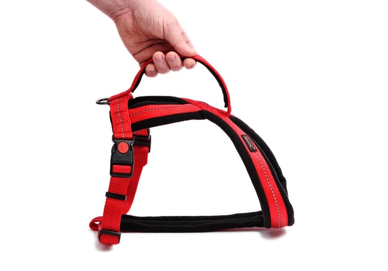 Outdoors & Adventure Harness With Handle Red