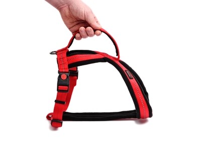 Outdoors & Adventure Harness With Handle Red