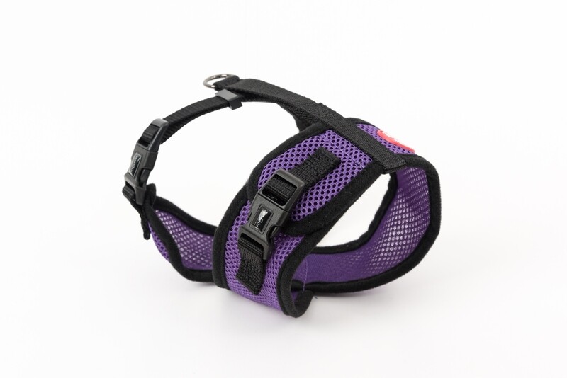 Mini Soft Harness for Cats with Velcro Purple with Leash
