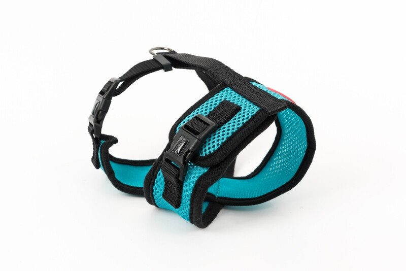 Mini Soft Harness for Cats with Velcro Turquoises with Leash