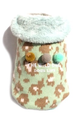 The Wild One Cape Pastel Green