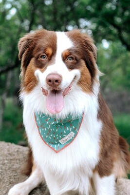 Sprinkles of Life Bandana Green