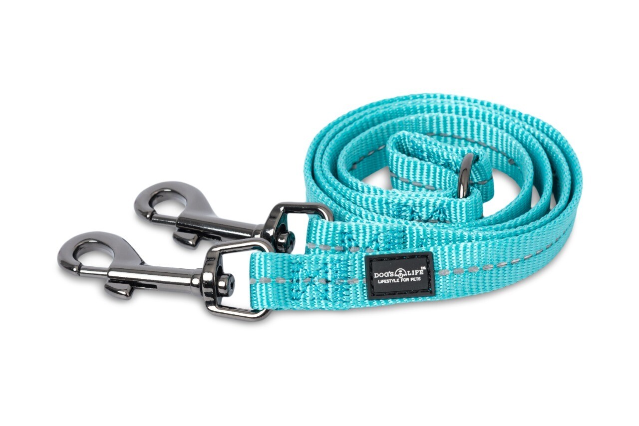 Reflective Supersoft Webbing Double Coupler Leash Turquoise