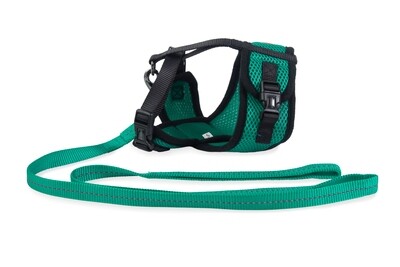 Mini Soft Harness for Cats with Velcro Ultra Marine Green with Leash
