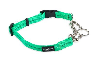 Reflective Martingale Chain Dog Collar Spring Green