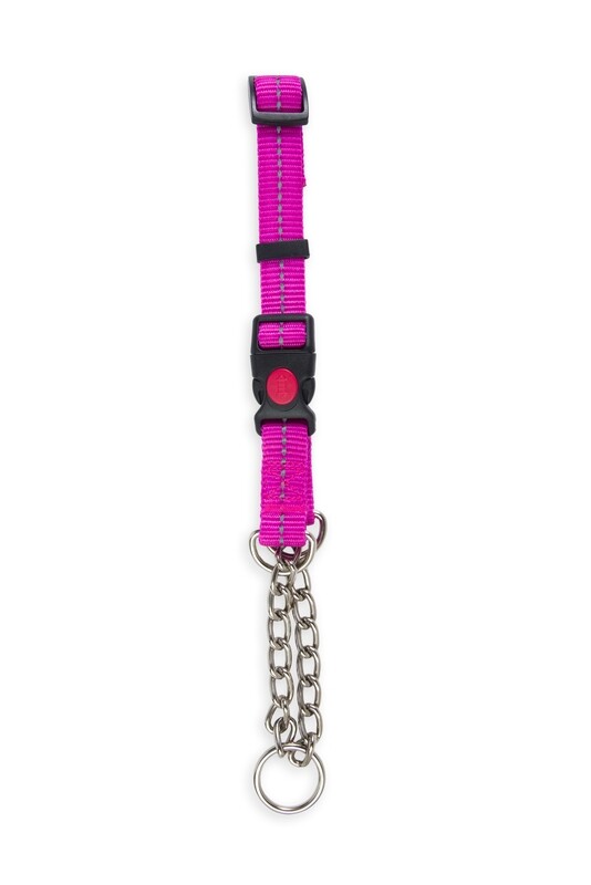 Reflective Martingale Chain Dog Collar Magenta