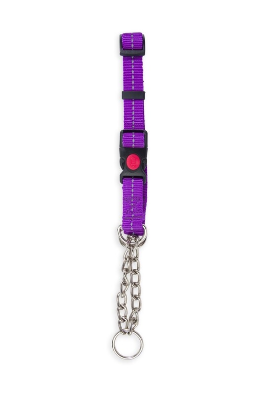 Reflective Martingale Chain Dog Collar Purple