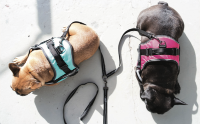 Reflective Supersoft Webbing Double Coupler Leash Grey