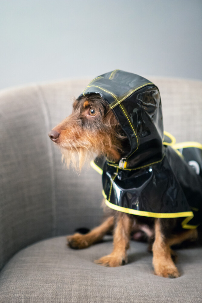 Dog s Life Raincoat Ponchos Black