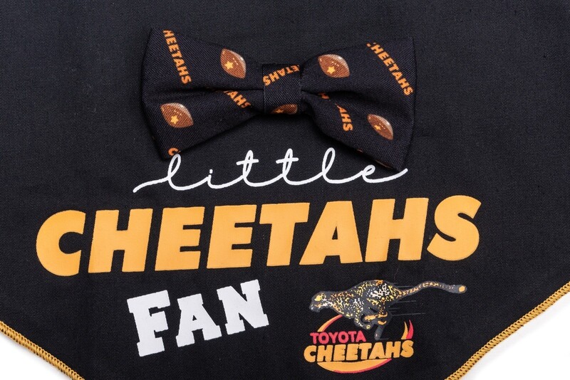 Bow Tie &amp; Bandana Set Official Licensed Cheetahs