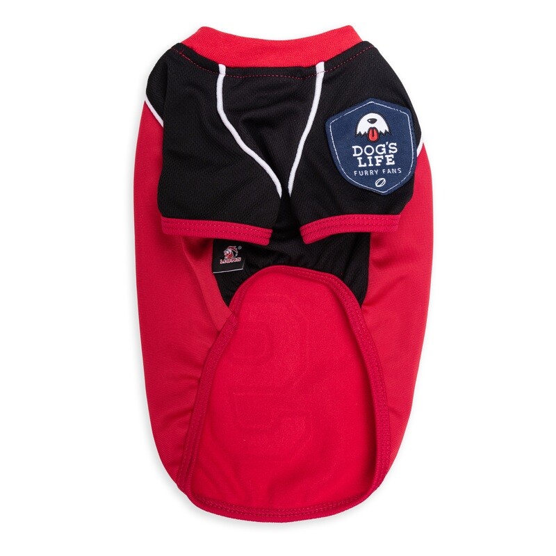 Official Licensed Lions Jersey