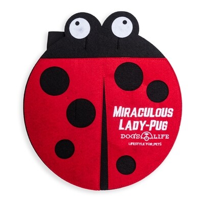 Doggie Outfit Lady Pug