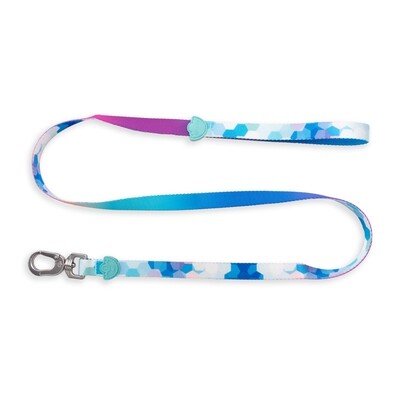 Designer Pooch Leash Hex Gradient