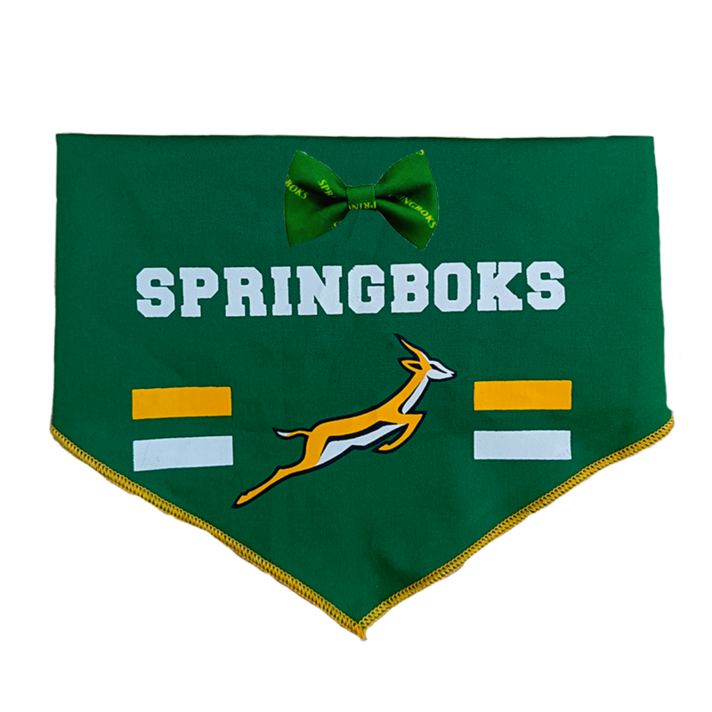 Bow Tie &amp; Bandana Set Official Licensed Springbok