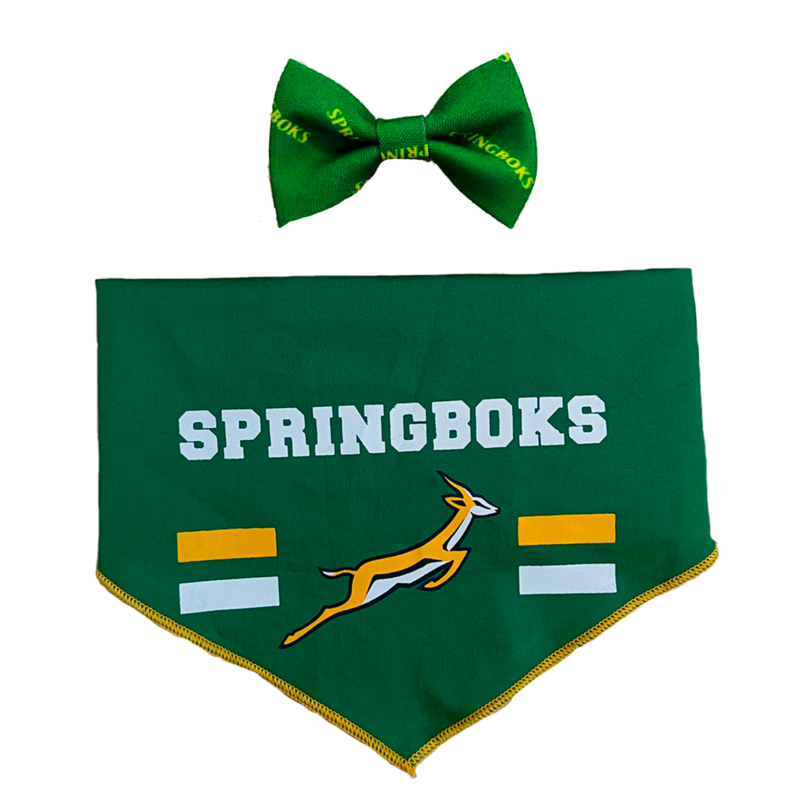 Bow Tie &amp; Bandana Set Official Licensed Springbok