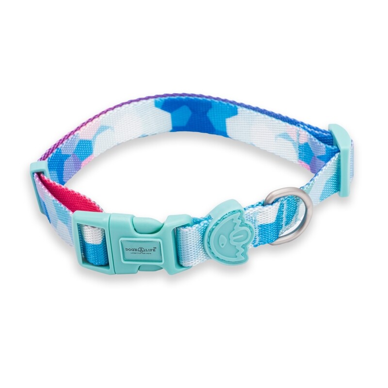 Designer Pooch Collar Hex Gradient
