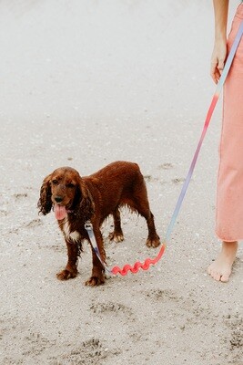 Multi-Purpose Hands Free Leash with Shock Absorb Hex Gradient