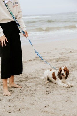 Multi-Purpose Hands Free Leash with Shock Absorb Tarrazo Blue