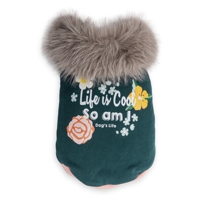 Life is Cool Winter Cape Green