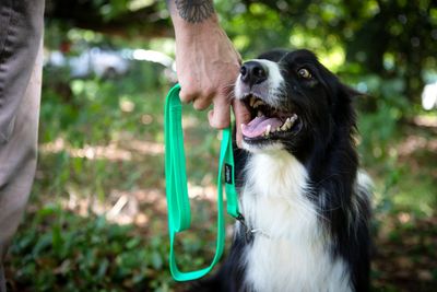 Reflective Supersoft Webbing Leash Spring Green