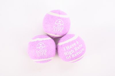 Fetch-It Tennis Balls (Pack of 3) Lilac