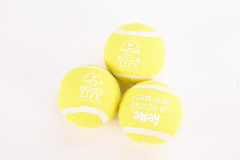 Fetch-It Tennis Balls (Pack of 3) Crayola Yellow