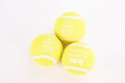 Fetch-It Tennis Balls (Pack of 3) Crayola Yellow