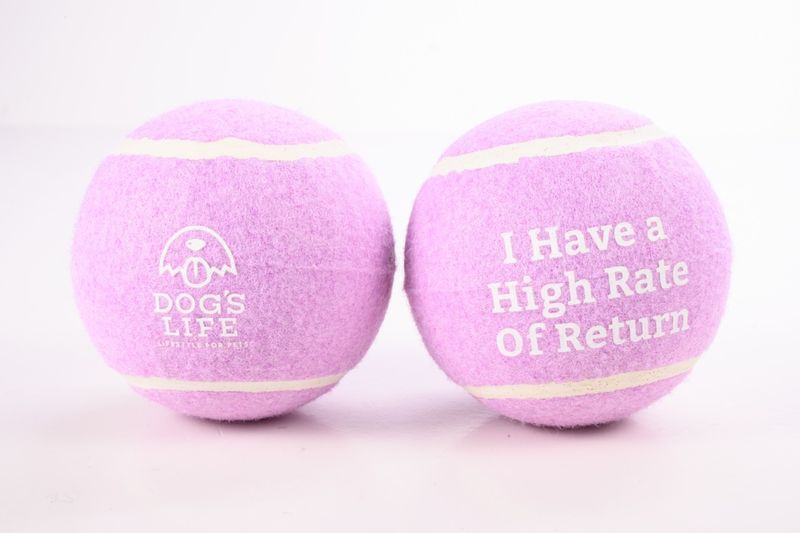 Fetch-It Tennis Balls (Pack of 2, Large) Lilac