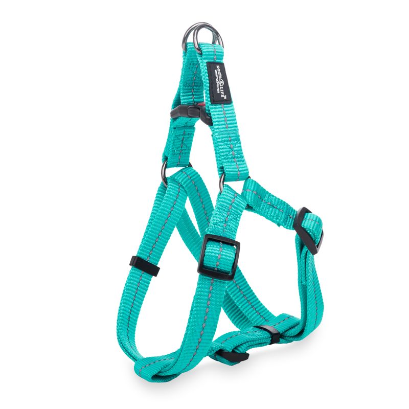 Reflective Supersoft Webbing Step-In Harness Turquoise
