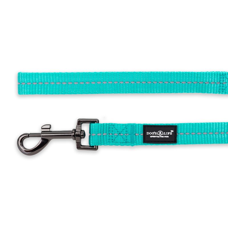 Reflective Supersoft Webbing Leash Turquoise