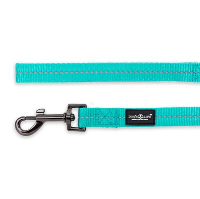 Reflective Supersoft Webbing Leash Turquoise
