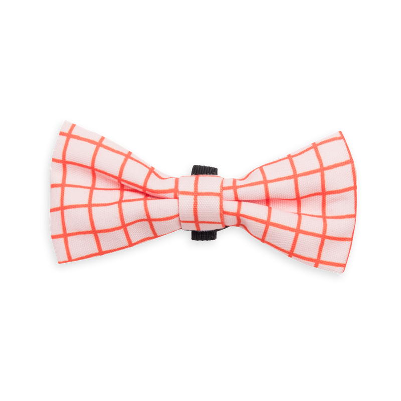 Bow Tie Grid Orange