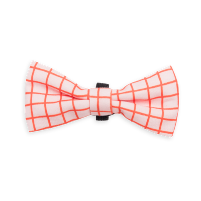 Bow Tie Grid Orange Bow Tie Grid Orange