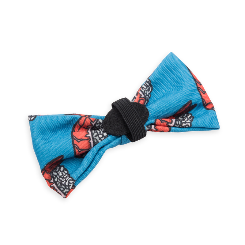Bow Tie Nigiri Blue