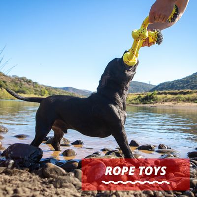 Rope Toys