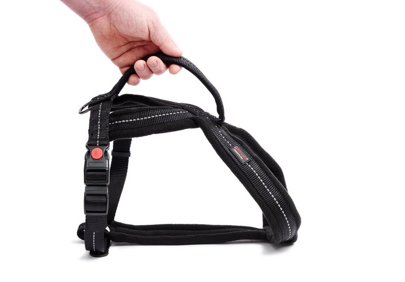 Outdoors & Adventure Harness With Handle Black