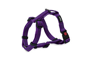 Reflective Supersoft Webbing H Harness Purple