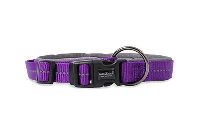 Reflective Supersoft Webbing Neoprene Collar Purple