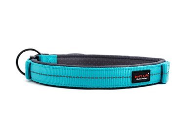 Reflective Supersoft Webbing Neoprene Collar Turquoise